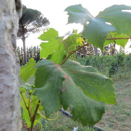 Agriturismo Occhineri Порто-Чезарео Экстерьер фото