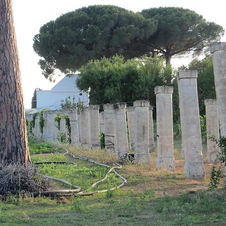 Agriturismo Occhineri Порто-Чезарео Экстерьер фото